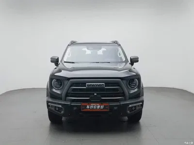 2024 Haval Big Dog 2.0T DCT Chinese Rural Dog Edition, фото 3, лот 11219176