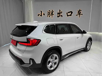 2023 BMW X1 sDrive20Li X Design Package, фото 4, лот 10465268