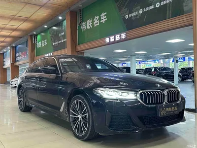 2023 BMW 5 Series 530Li Leading M Sport Package, фото 3, лот 11174823