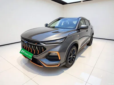 2022 Changan Oshan Changan Oushang X5 Sport Edition 1.5T DCT Hurricane Sonic, фото 2, лот 11169938