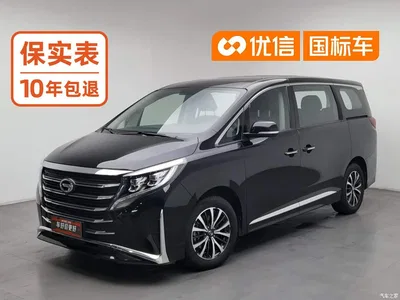 2024 GAC Trumpchi Trumpchi M8 Leadershow Series 390T Luxury Edition, фото 1, лот 10455780