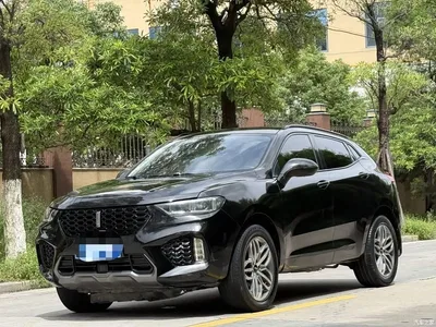 2017 WEY VV5 2.0T Super Luxury Model, фото 1, лот 10452139