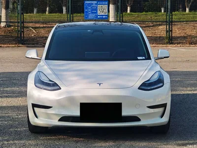 2020 Tesla Model 3 Standard Range Rear-Wheel Drive Upgrade, фото 3, лот 10353571