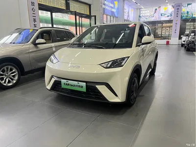 2024 BYD Seagull Glory Edition 305km Vitality Edition, фото 1, лот 10262478