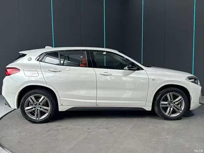 2023 BMW X2 sDrive25i M Sport Shadow Edition, фото 4, лот 10408509