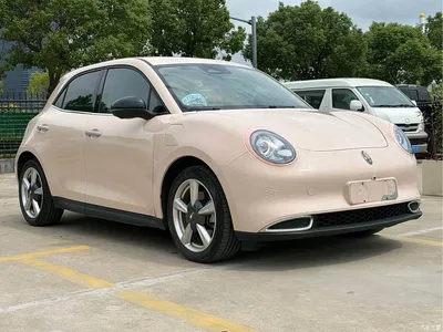 2023 Ora Good Cat 401km Standard Range Luxury LFP, фото 3, лот 10839113