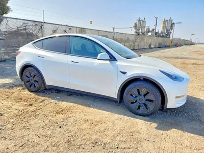2025 TESLA MODEL Y, фото 4, лот 10676990