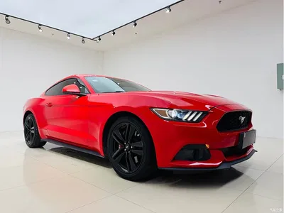 2015 Ford Mustang 2.3T 50th Anniversary Edition, фото 3, лот 10277978
