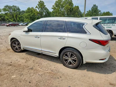 2019 INFINITI QX60 LUXE, фото 2, лот 10883509