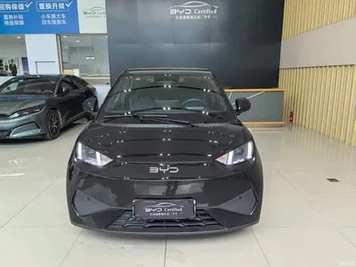 2025 BYD Seagull Smart Drive Edition 305km Freedom Version, фото 2, лот 10434879