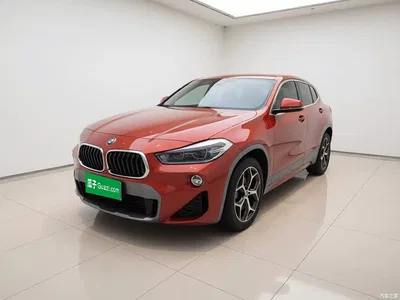 2019 BMW X2 (Import) sDrive20i M Off-Road Package China VI, фото 1, лот 11196223