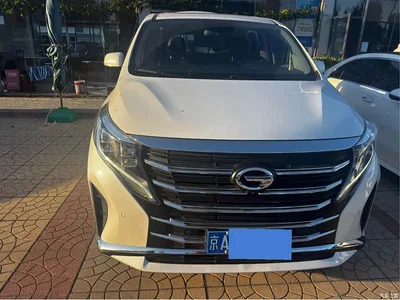 2021 GAC Trumpchi Trumpchi M8 Leader Series 390T Premium Welfare Edition, фото 1, лот 10448817