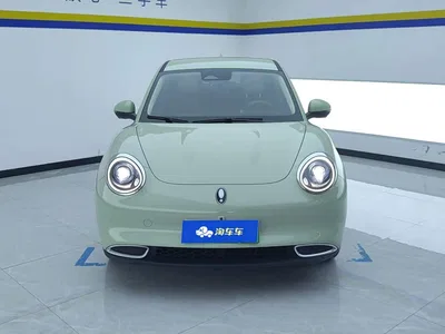 2023 Ora Good Cat 401km Standard Range Comfort LFP, фото 2, лот 10330667