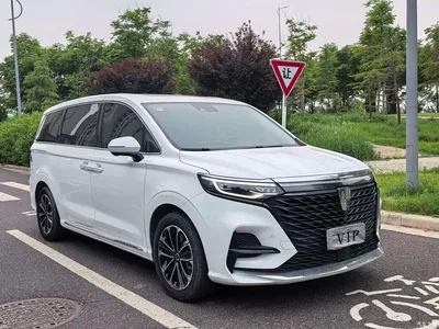 2021 Roewe iMAX8 400TGI Supreme Series Honor, фото 2, лот 10339361