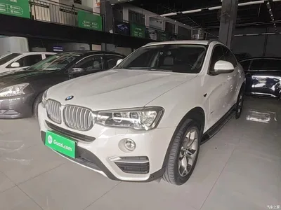 2014 BMW X4 xDrive20i X Design Package, фото 2, лот 10476909