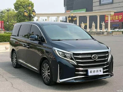 2021 GAC Trumpchi Trumpchi M8 Leading Show Series 390T Prestige Edition, фото 3, лот 10889188