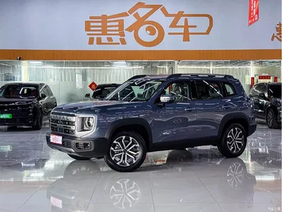 2024 Haval Big Dog Model 1.5T DCT Labrador Edition, фото 2, лот 10361673