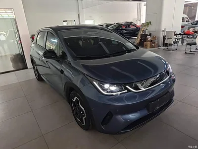 2025 BYD Dolphin Smart Drive Edition 420km Freedom Version, фото 4, лот 10894007