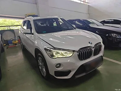 2019 BMW X1 sDrive20Li Leading Model, фото 4, лот 10467278