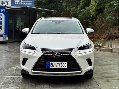 2020 Lexus NX 200 AWD F Sport China VI, фото 2, лот 11062330
