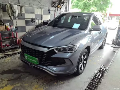2024 BYD Song Pro New Energy Glory Edition DM-i 71KM Leading, фото 1, лот 11133110