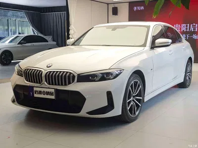 2023 BMW 3 Series 320Li M Sport Package, фото 1, лот 11408446