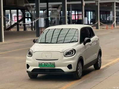 2022 Leapmotor T03 Agate Edition, фото 1, лот 10317448