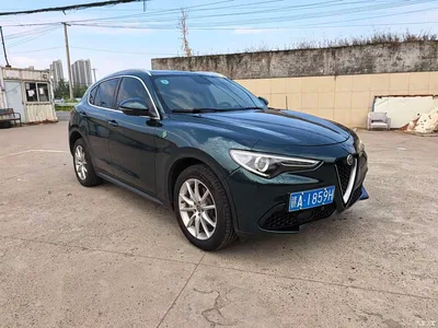 2017 Alfa Romeo Stelvio 2.0T 200HP Luxury Edition, фото 3, лот 10476269