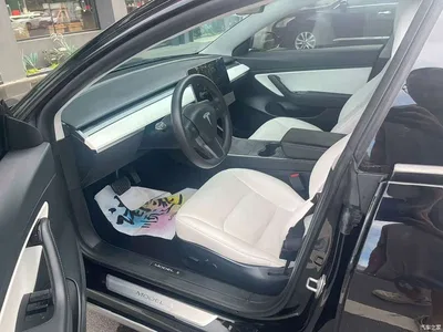 2020 Tesla Model 3 Facelift Standard Range RWD Upgrade, фото 4, лот 10374220