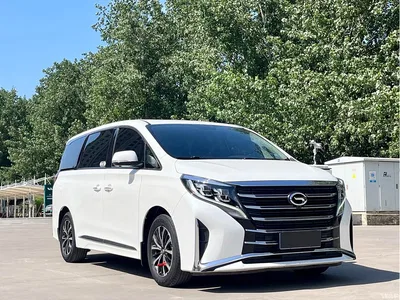 2021 GAC Trumpchi Trumpchi M8 Leading Show Series 390T Luxury Edition, фото 3, лот 10415355