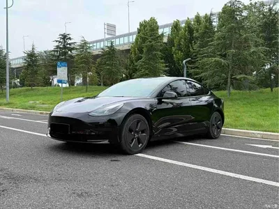 2022 Tesla Model 3 Model Rear-Wheel Drive Version, фото 1, лот 11221935
