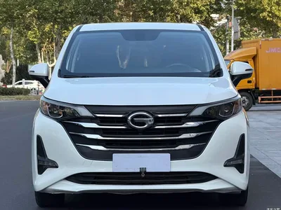 2019 GAC Trumpchi Trumpchi M6 270T Automatic Luxury (7-seater) China V, фото 2, лот 11449235