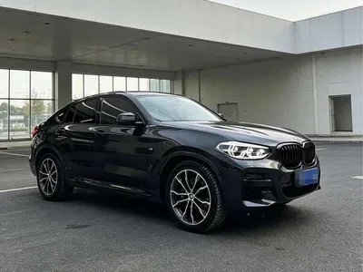 2021 BMW X4 xDrive 30i M Sport Glorious Night Package, фото 2, лот 10477090