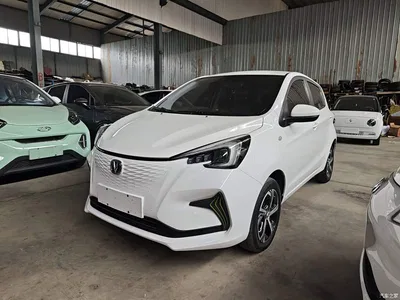 2020 Changan Benben E-Star Model Happy Edition (LFP 31.18kWh), фото 2, лот 11179849