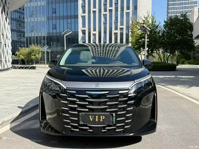 2025 BYD Xia DM-i 1.5T 100km Surpass Edition, фото 2, лот 10258254