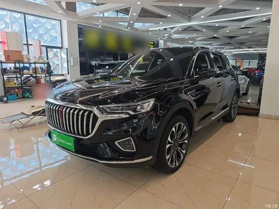 2019 Hongqi HS5 2.0T Smart Connect Enjoy 4WD Edition, фото 2, лот 10289551