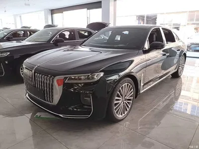 2023 Hongqi H9 Model 2.0T Smart Connect Flagship Edition, фото 2, лот 10289187