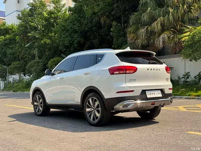 2020 Haval H6 2.0GDIT Automatic Platinum Champion Edition, фото 4, лот 10684959