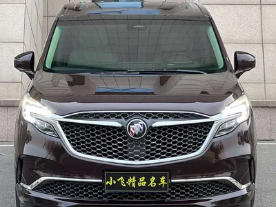 2021 Buick GL8 Avenir Aivia 6-Seater Elite Edition, фото 1, лот 10256957