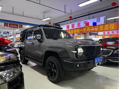 2021 Tank 300 Off-road Version 2.0T Conqueror, фото 3, лот 10345234