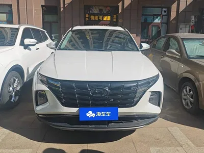 2021 Hyundai Tucson L 1.5T DCT LUX Premium, фото 3, лот 10393792