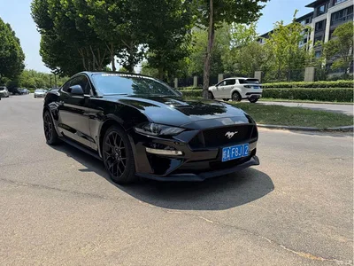 2019 Ford Mustang 2.3L EcoBoost, фото 3, лот 10279497