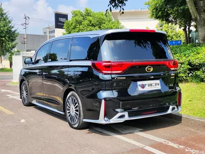2021 GAC Trumpchi Trumpchi M8 Master Series 390T 4-Seat Glory Edition, фото 4, лот 10414923