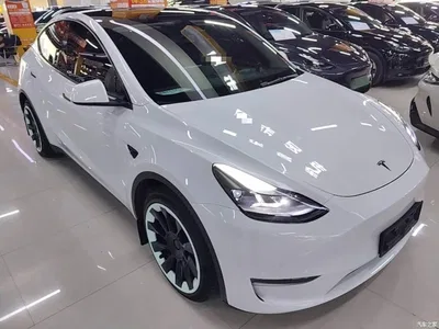 2023 Tesla Model Y Long Range All-Wheel Drive Edition, фото 4, лот 11017718
