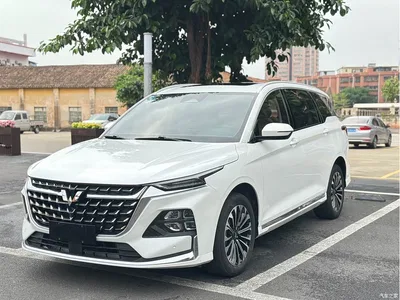 2023 Wuling Motors Wuling Victory 2.0L DHT Luxury Edition, фото 1, лот 10832208
