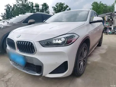 2020 BMW X2 sDrive25i Leading M Off-Road Package, фото 2, лот 10475470