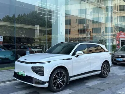 2022 XPeng G9 650 Performance Pro, фото 1, лот 10393189