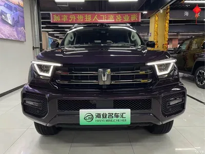 2025 Tank 400 New Energy Hi4-Z, фото 2, лот 10345088