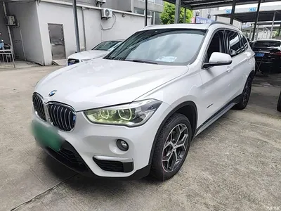 2018 BMW X1 sDrive18Li Premium Model, фото 1, лот 10467691