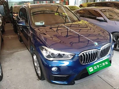 2019 BMW X1 sDrive20Li Leading Model, фото 4, лот 10467496